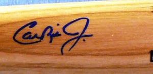 Cal Ripken Jr. autographed bat