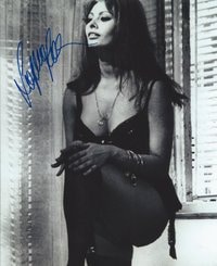 SOPHIA LOREN Autographed B/W photo- SEXY LINGERIE